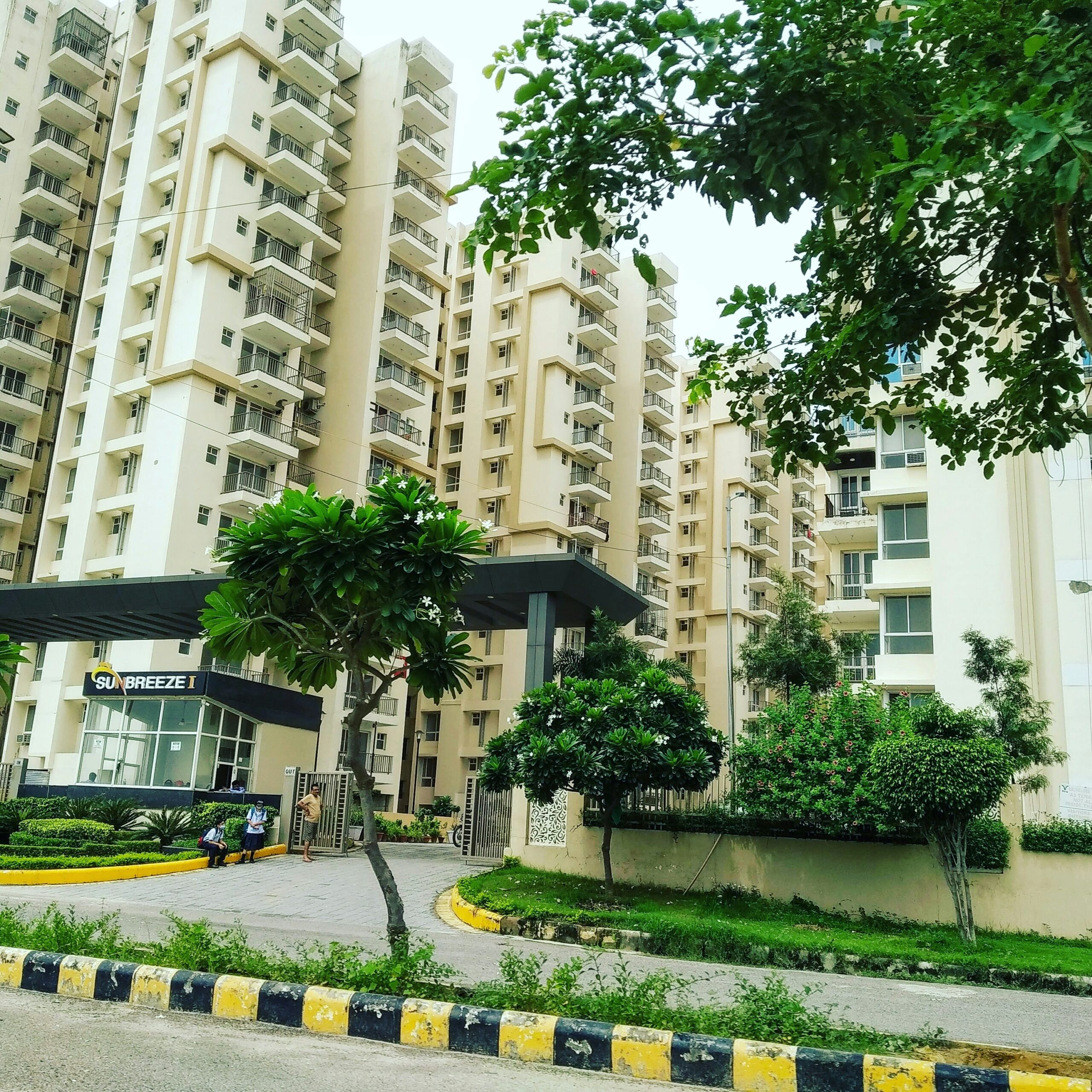 Skyline Heights